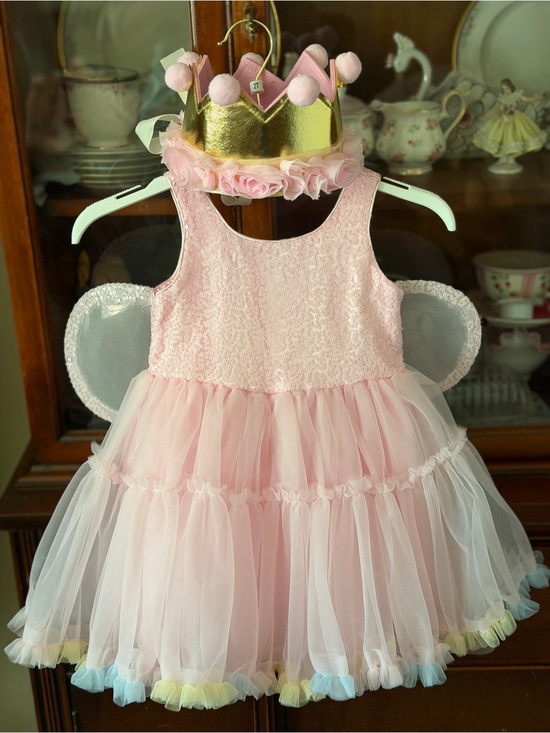 Other - Girls Fairy Princess Pink Tulle Dress with crown/wings/wand